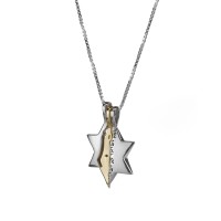 Jewish Pendant The Star of David Israel Defender 