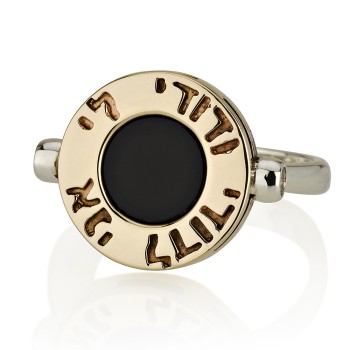 Silver and 14K  Gold Ani Ledodi Ring with Onyx 