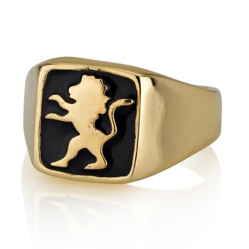 Jewish 14K Gold Ring  With enamel Lion of Judah 